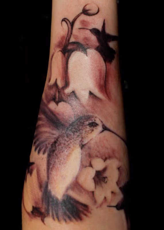 Plum Hummingbird