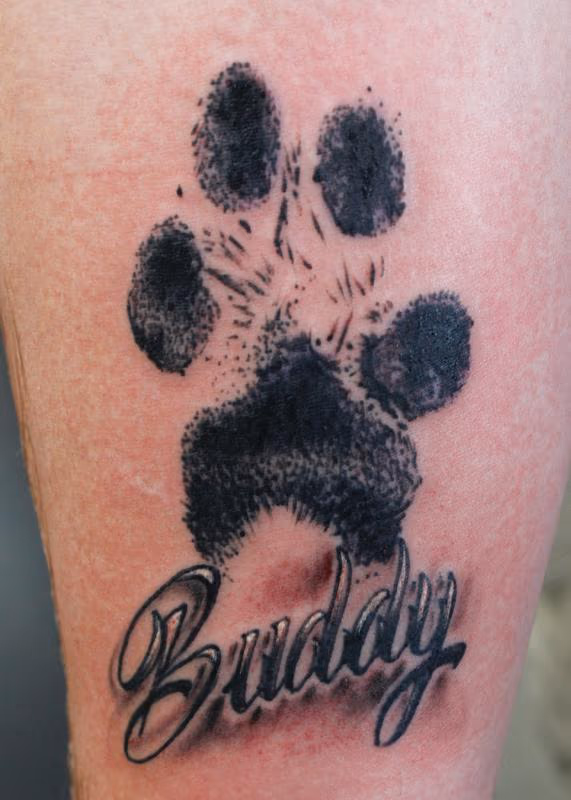 Buddy