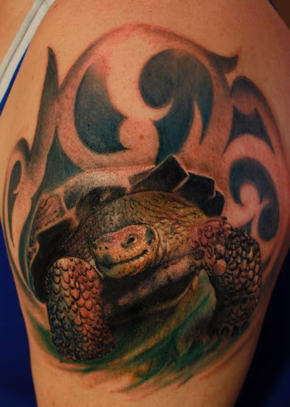 Galapagos Tortoise