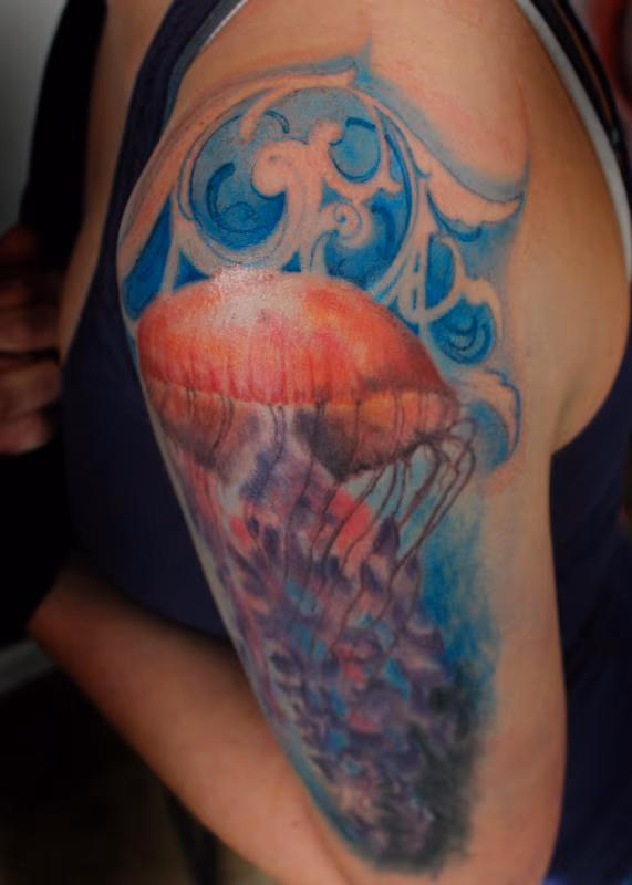 Kaitlyn's Jellyfish