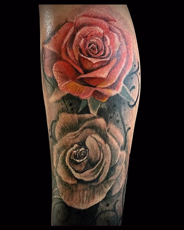 Roses