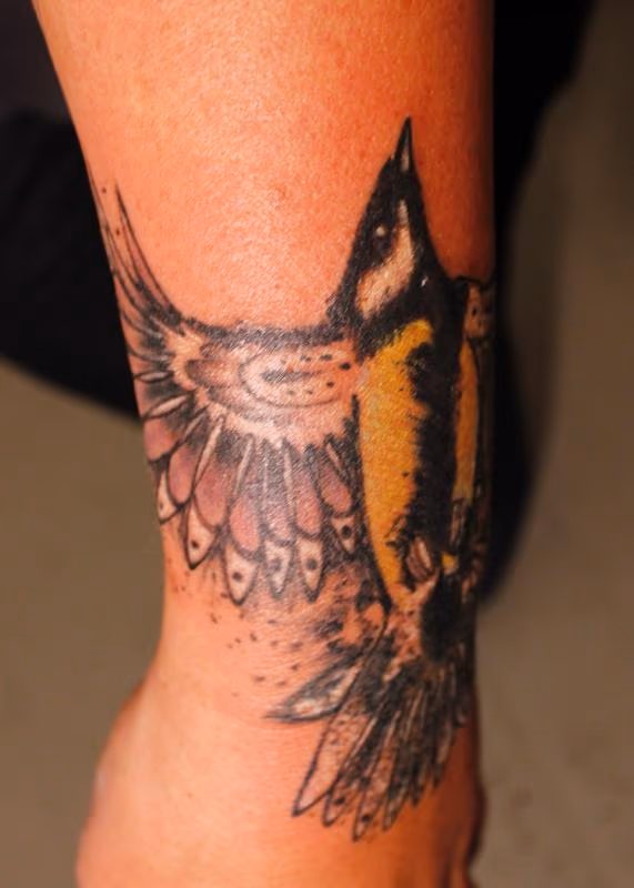 Golden Whistler