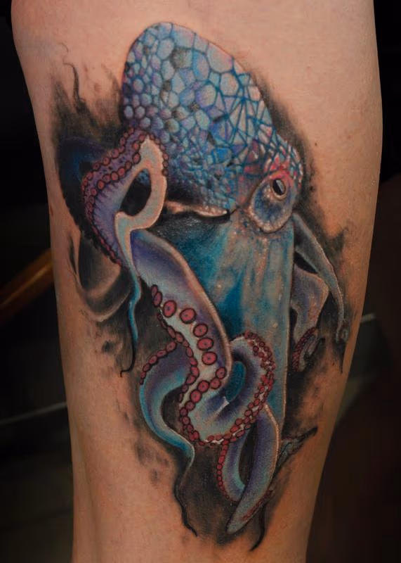 Mosaic Flow Octopus