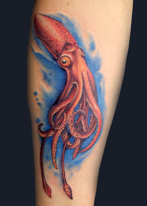 Squid