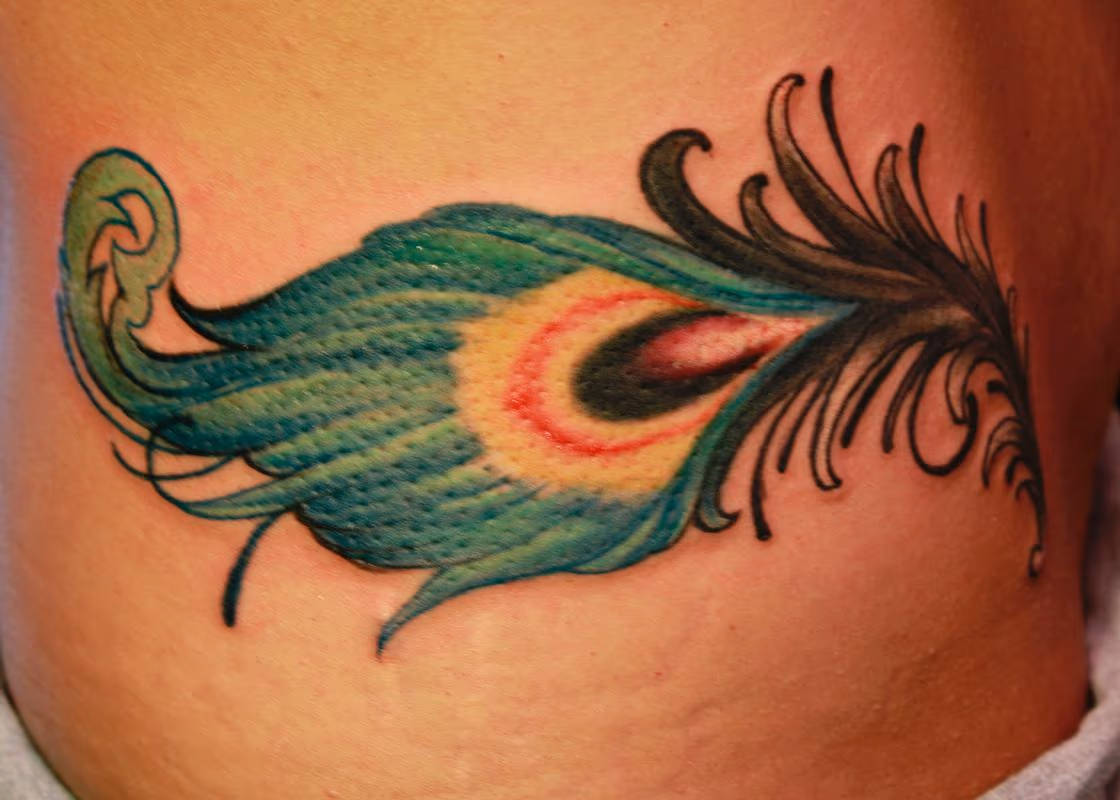 Peacock Feather