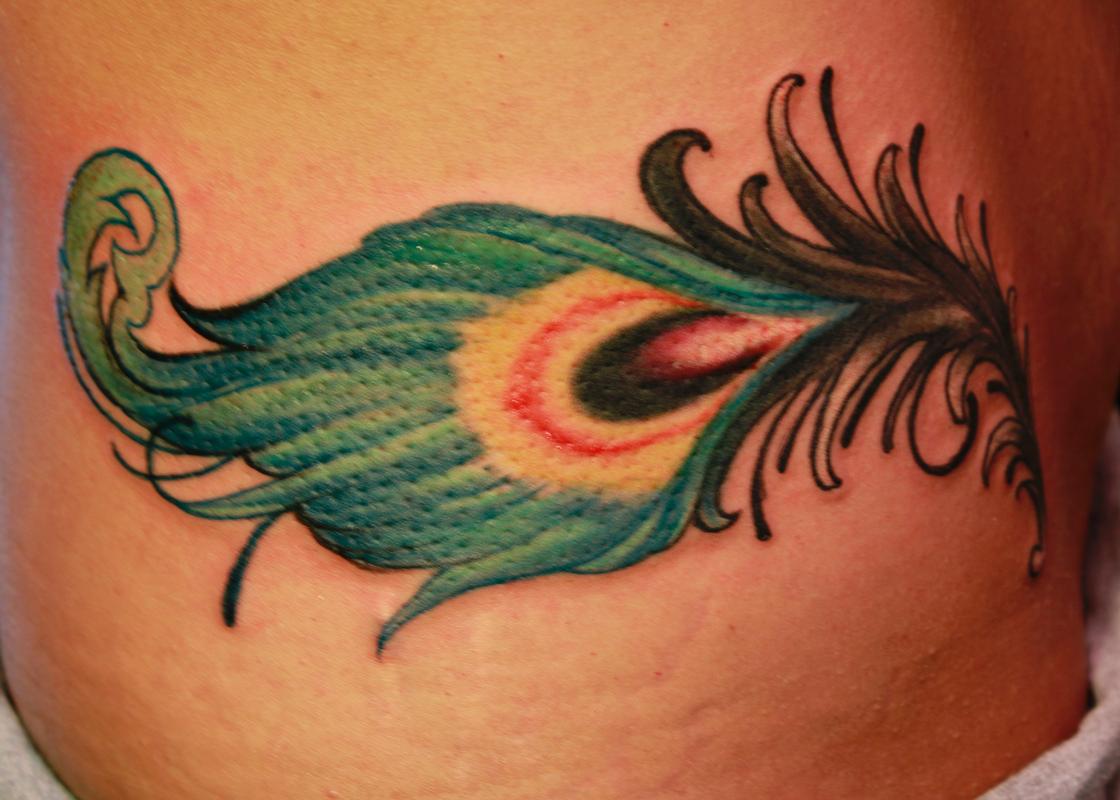 Peacock Feather