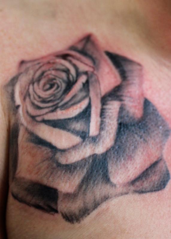 Rose 34 1/4