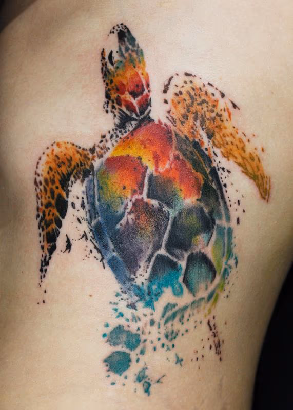 Spatter Turtle