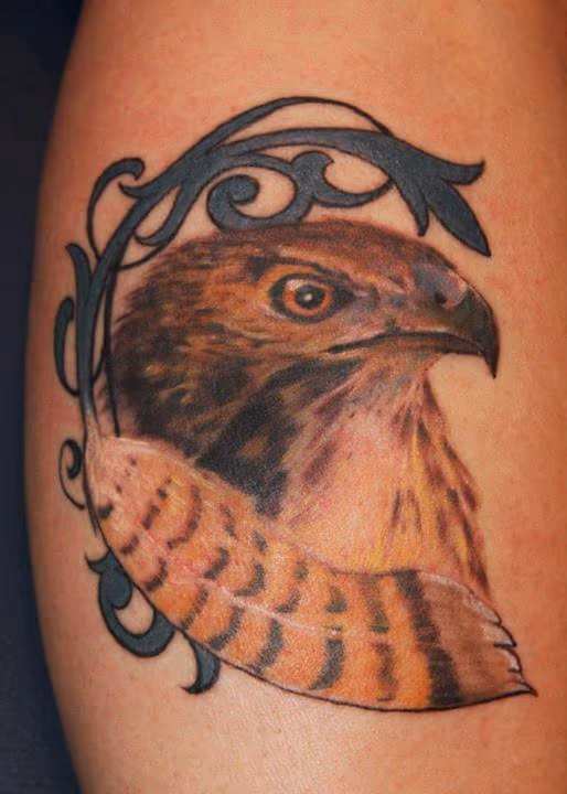 Hawk
