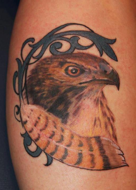 Hawk