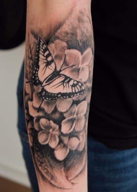 Hydrangea