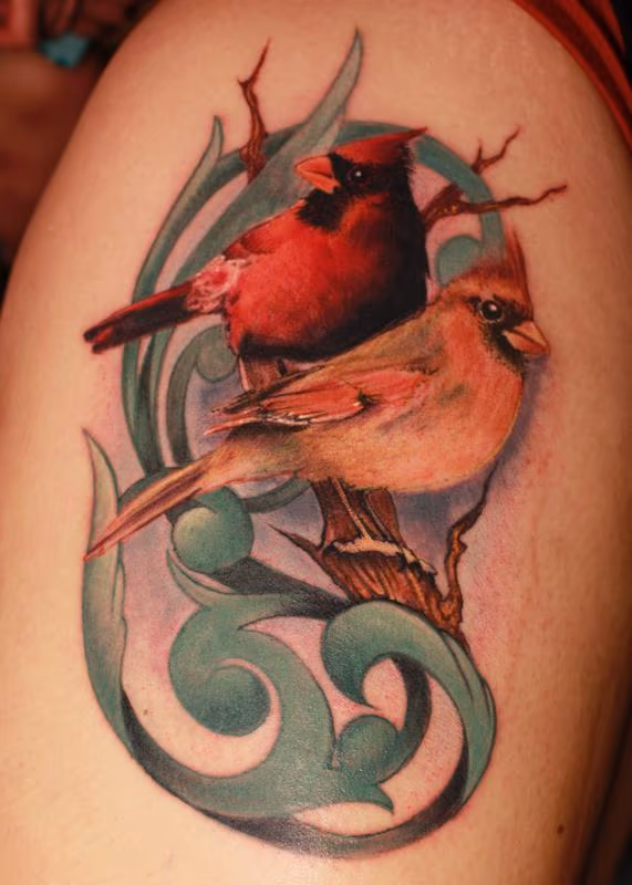 Sarah's Cardinals