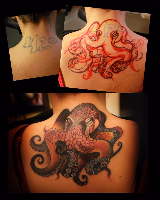 Octopus
