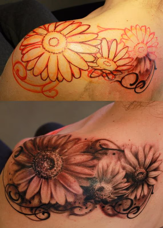 Daisies