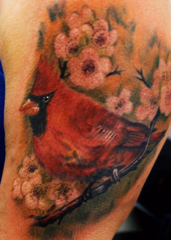 Cardinal