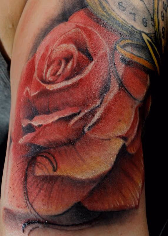 Una rosa para el dia
