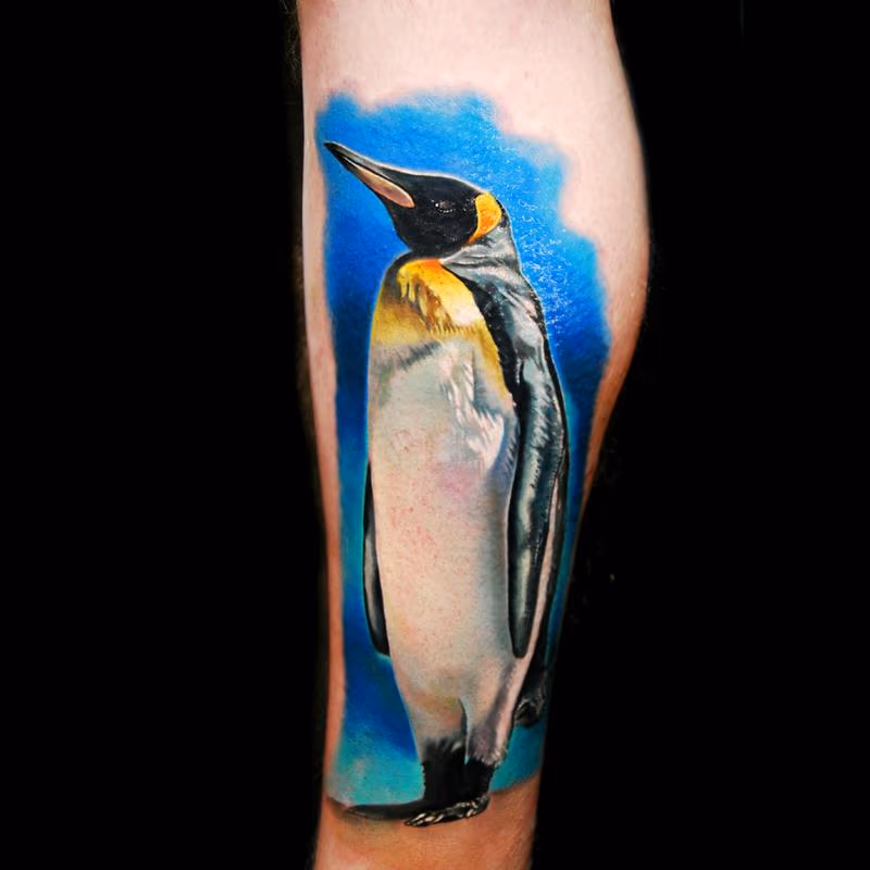 King Penguin