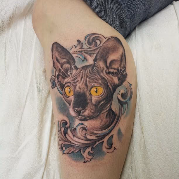 meow