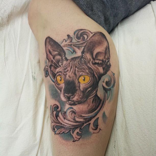 meow