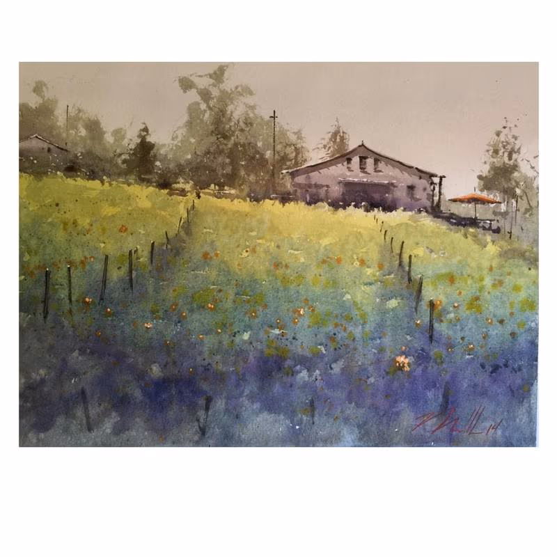 Temecula Wine Country