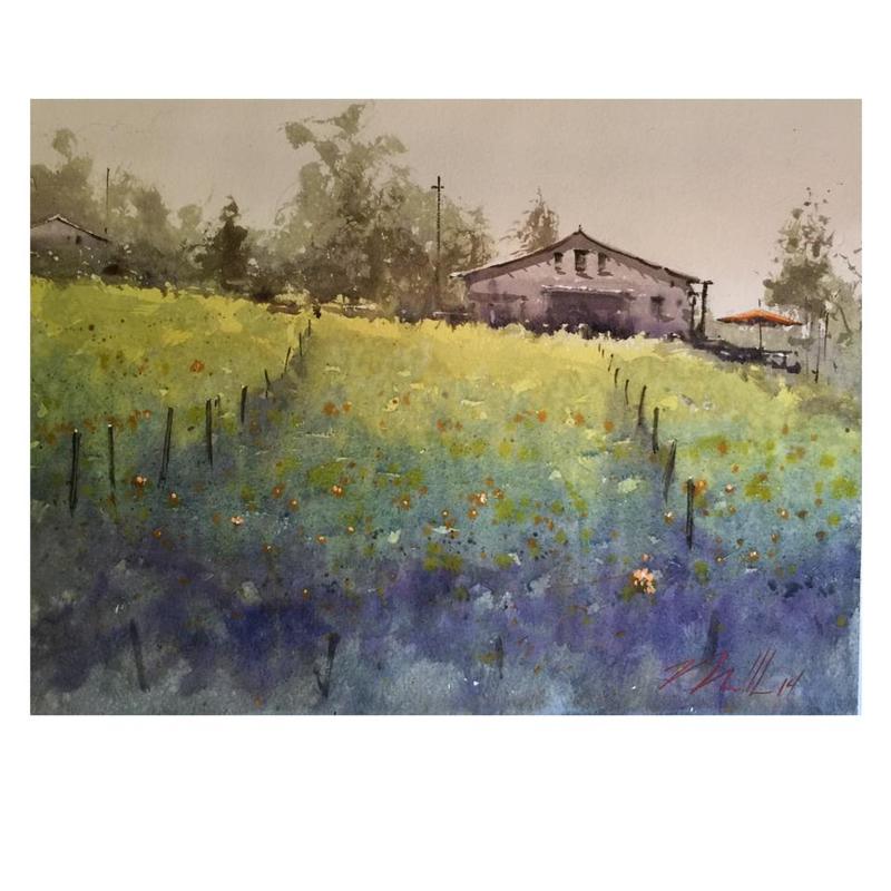 Temecula Wine Country