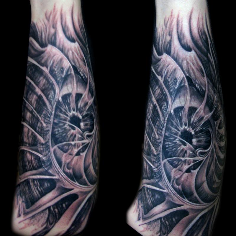 Nautilus Eye