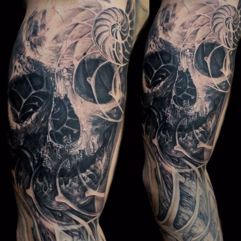 Nautilus Skull