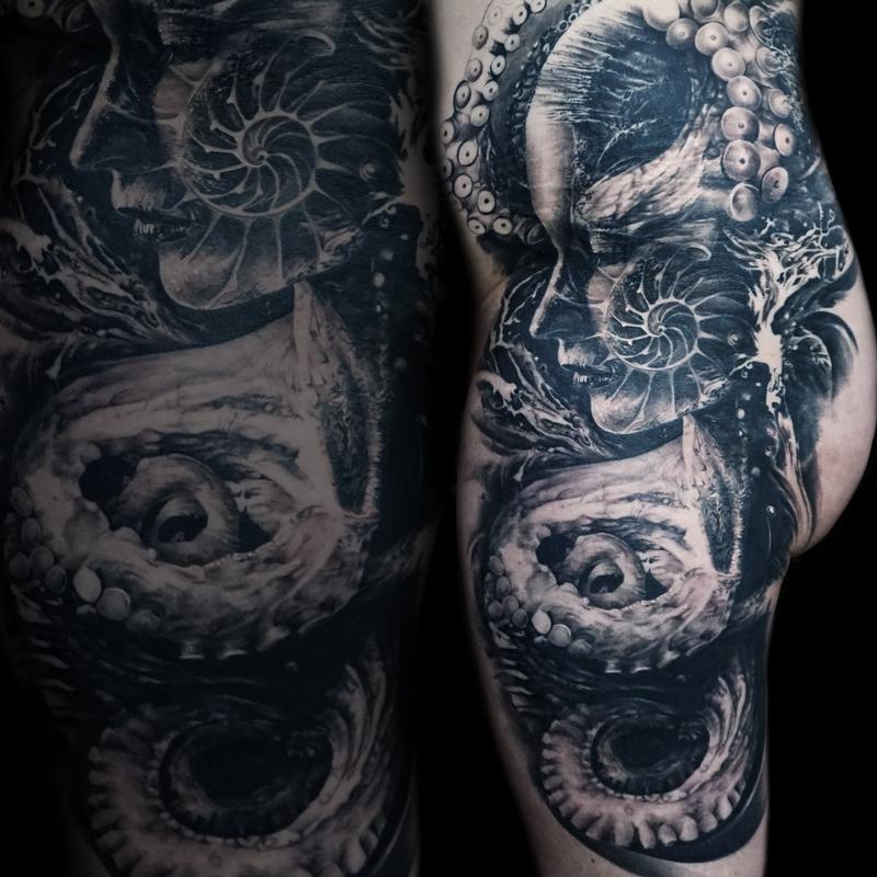 Octopus Morph