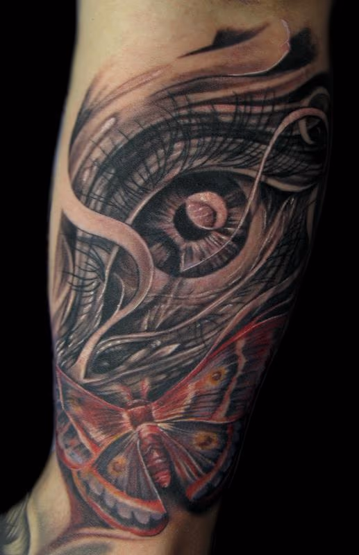 eye and moth