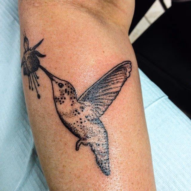 Hummingbird