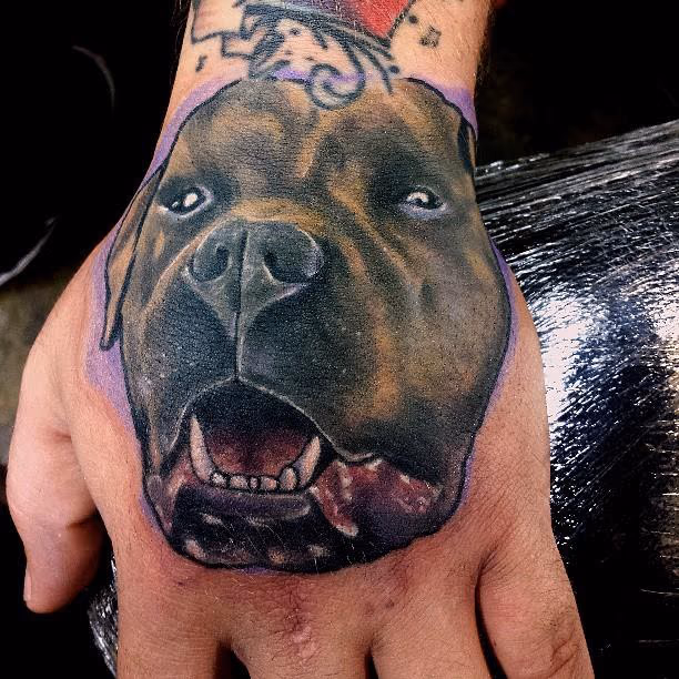 Puppy portrait on a hand