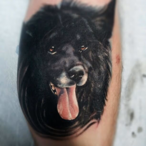 Black Wolf
