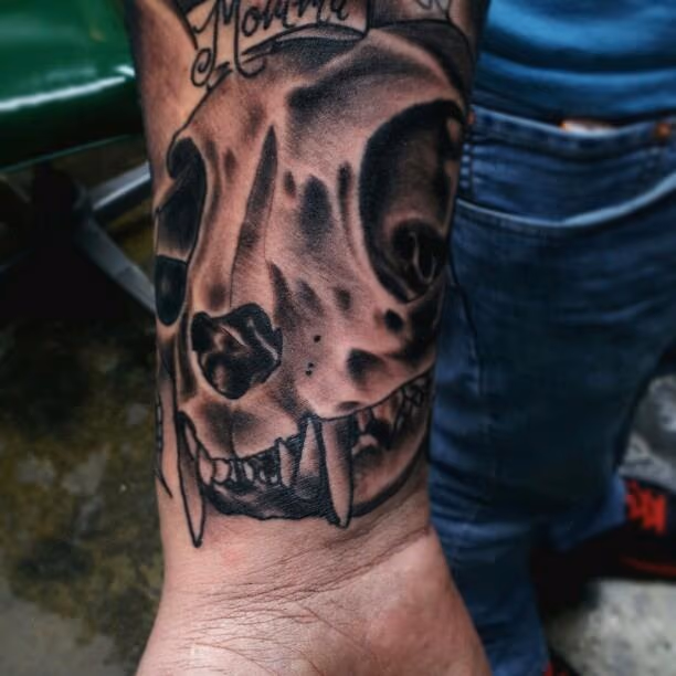 Cat Skull