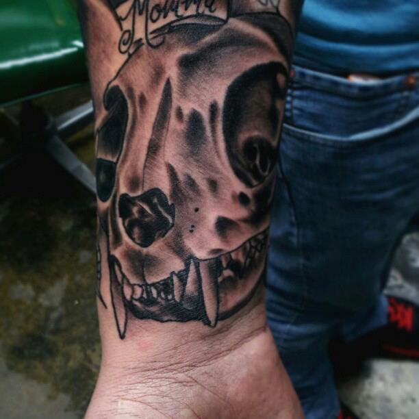 Cat Skull