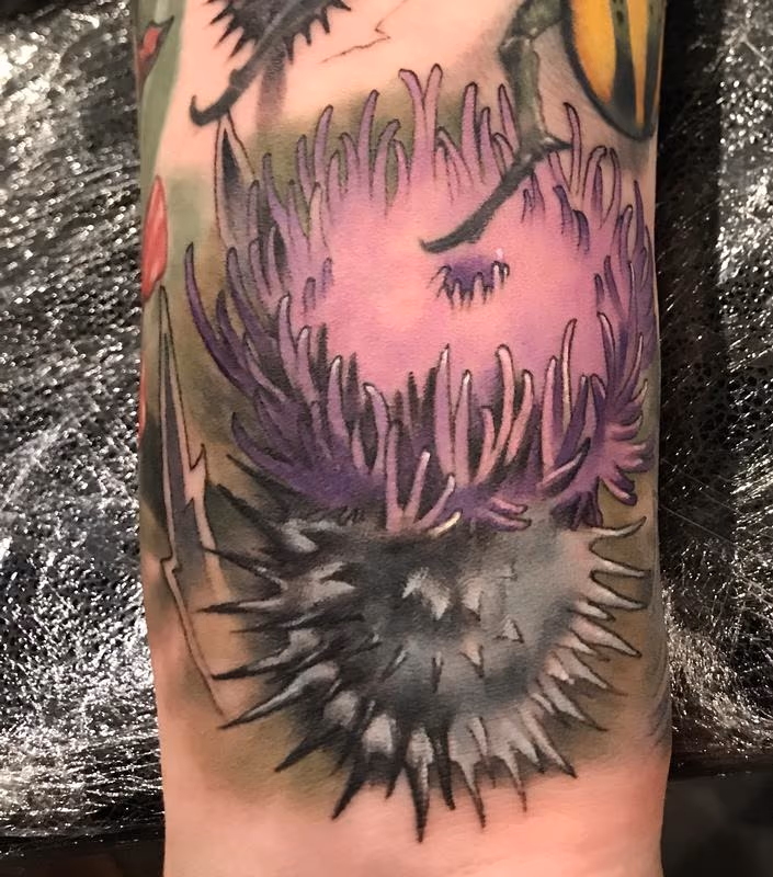 Damon Conklin Thistle