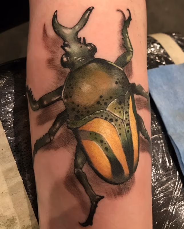 Damon Conklin Green and Gold Beetle