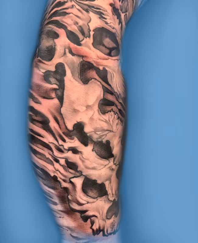 Damon Conklin Skull Bio Organic sleeve