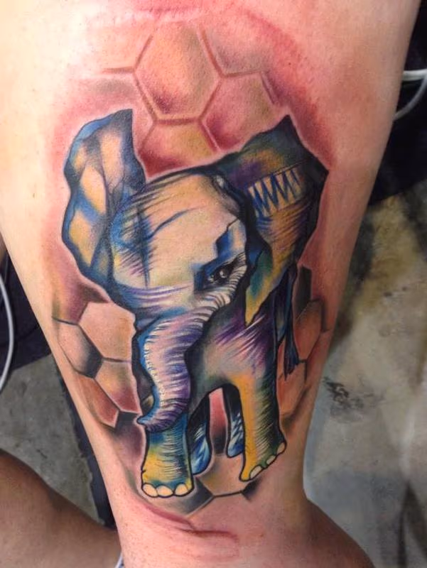Abstract Baby Elephant with Honeycomb Background