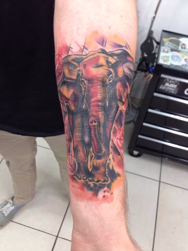 Graphic Elephant