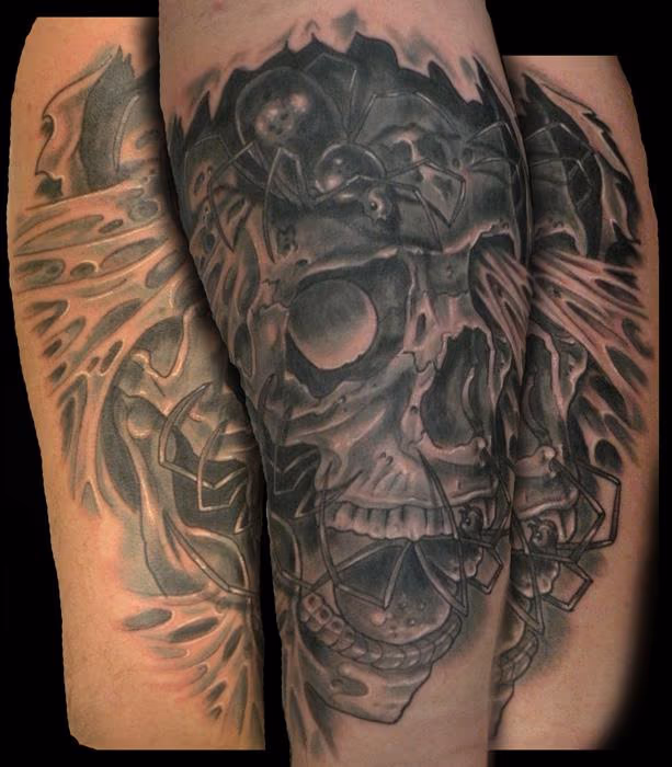 skull with spiders