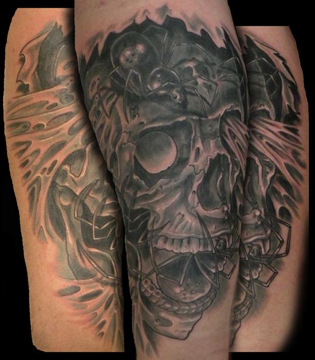 skull with spiders