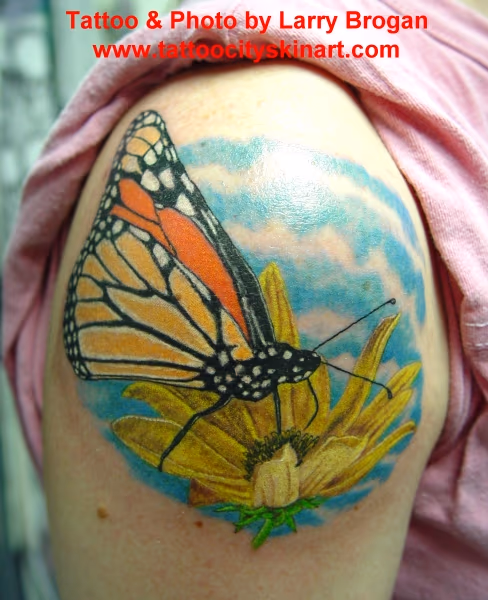 Butterfly on flower