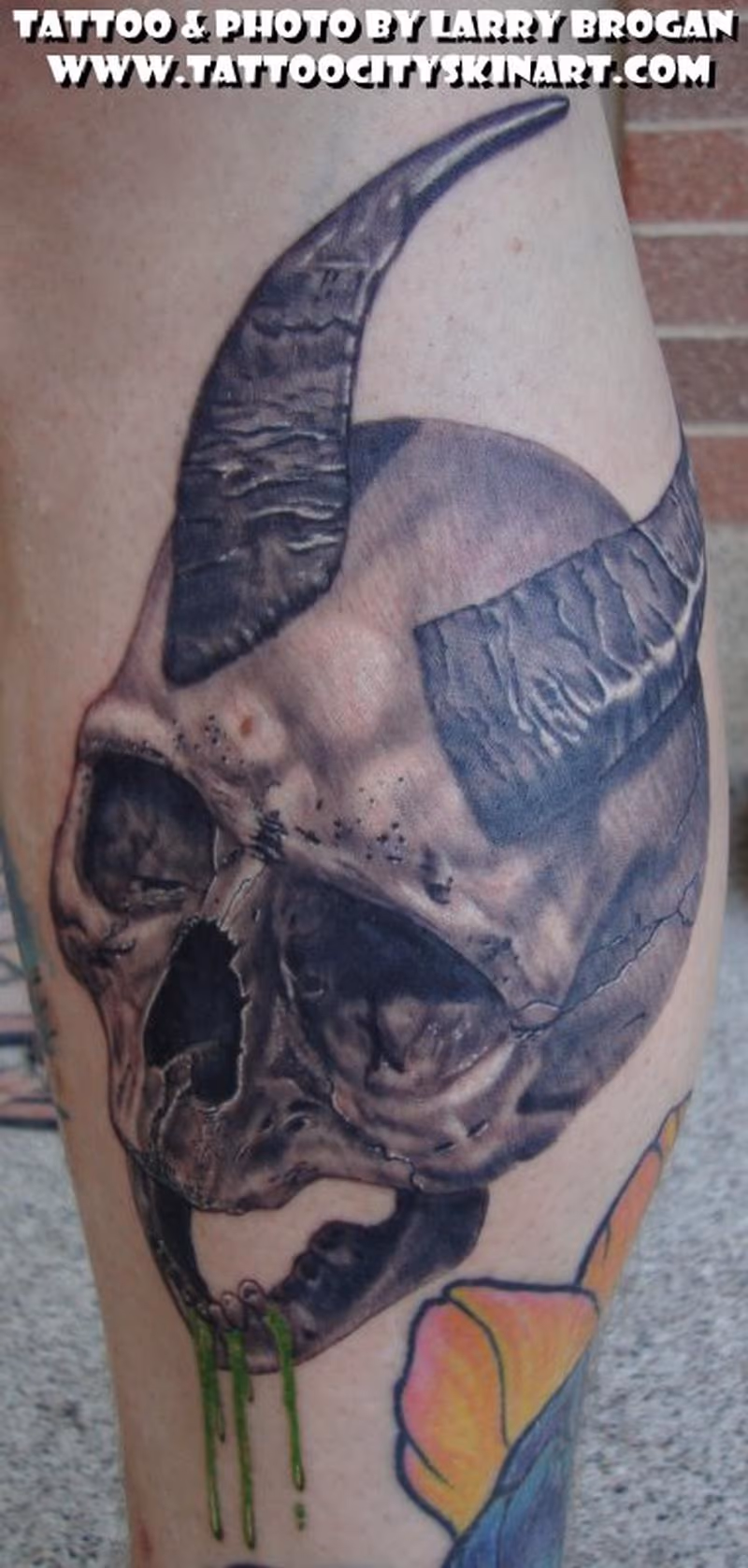 Horny Skull