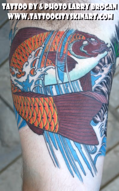 Koi Fish
