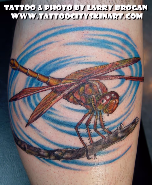 Dragonfly