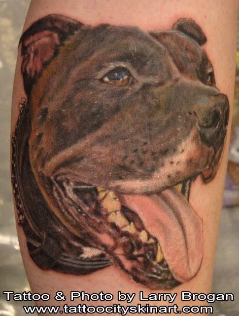 Mickey the Pitbull