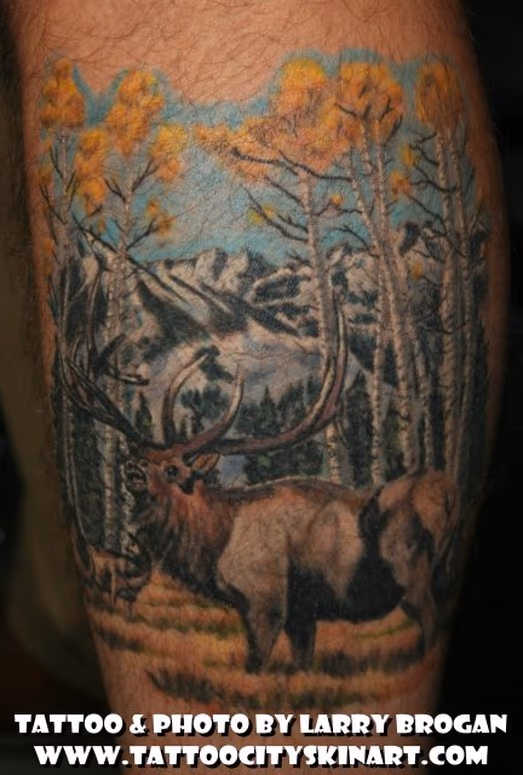 Elk in the Wilderness
