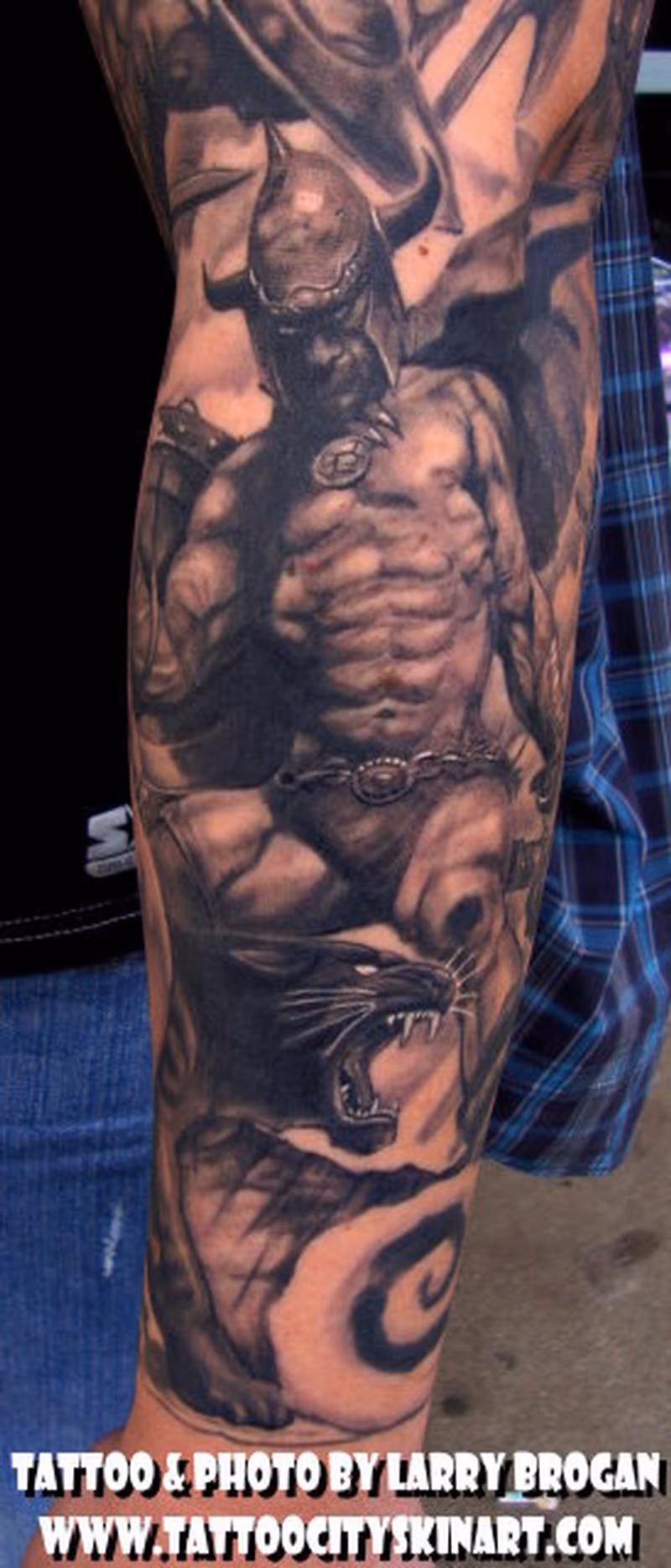 Detail of Frank Frazetta Sleeve