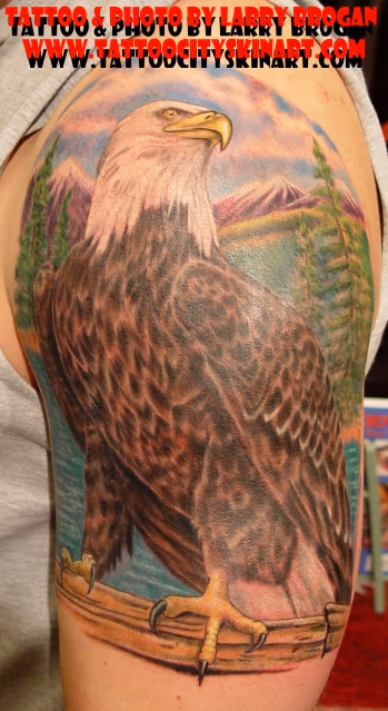 Bald Eagle