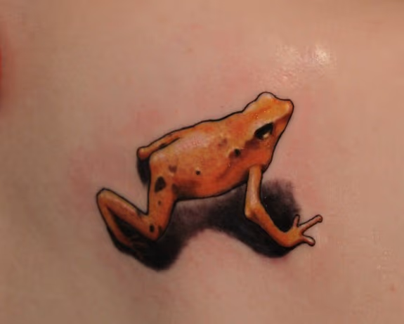 Frog TAttoo